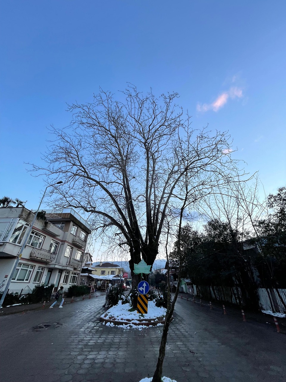 雪 冰 冬天 - Pixabay上的免费照片 - Pixabay