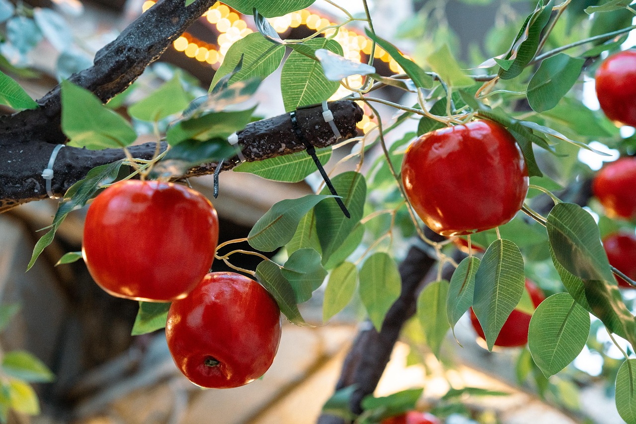 Apple Fruit Tree Red Free Photo On Pixabay Pixabay apple-fruit-tree-red-free-photo-on-pixabay-pixabay
