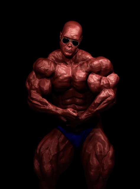 Bodybuilder, Athlete, Bodybuilding