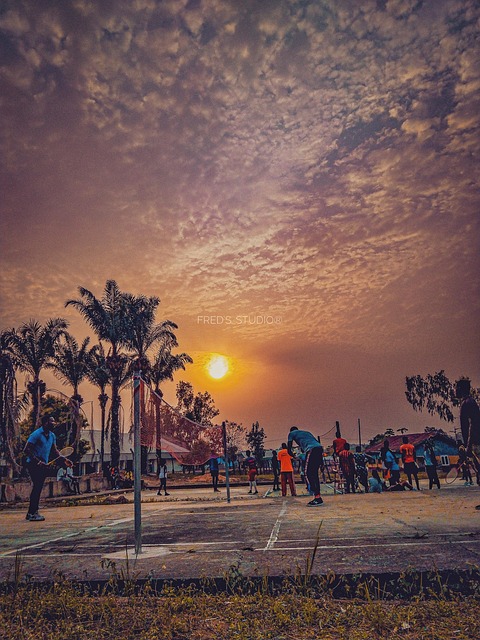 Free Volleyball Sport photo and picture