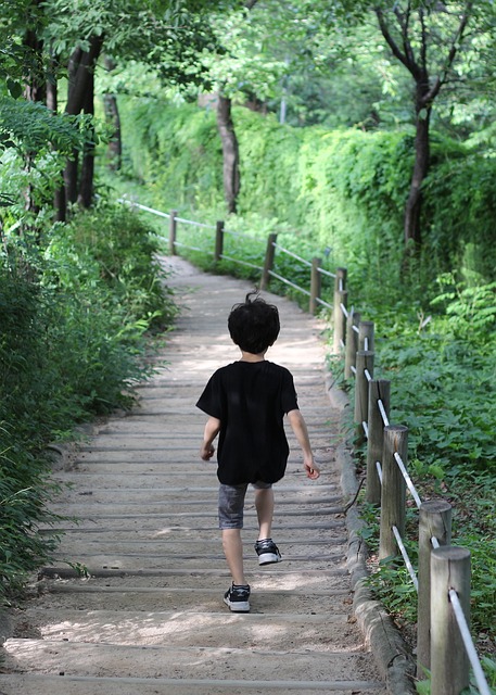 Free Forest Road Walk photo and picture