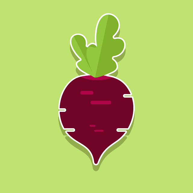 Free vegetable beetroot organic vector