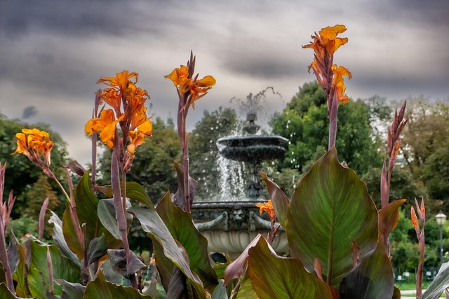 Free Flowers Fountain photo and picture