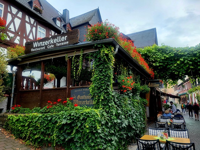 Free Rüdesheim Rhine River photo and picture