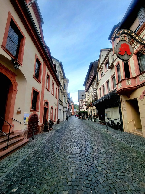 Free Bacharach Rhine River photo and picture