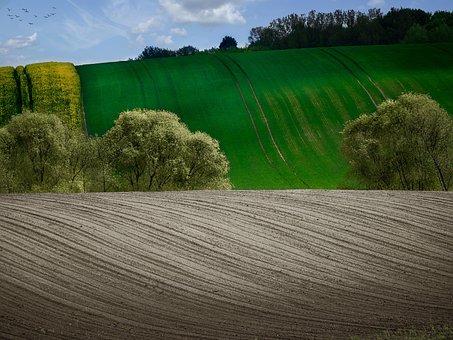 Free Landscape Nature photo and picture