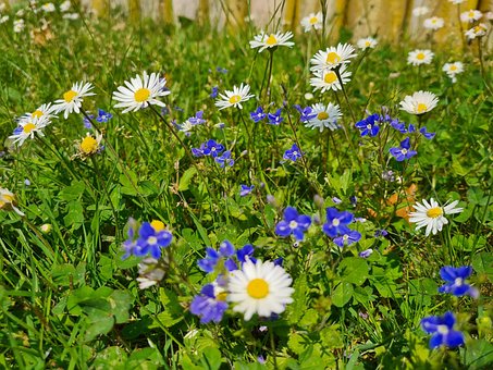 Free Nature Landscape photo and picture