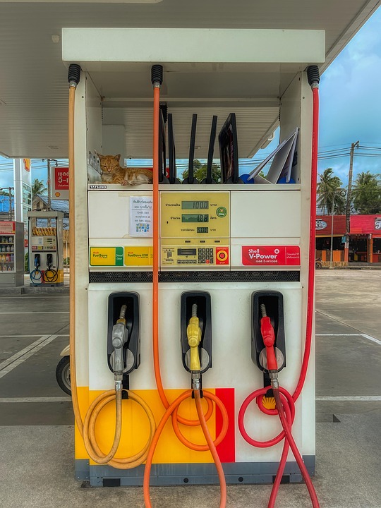Gas Station Service Cat Red Free photo on Pixabay