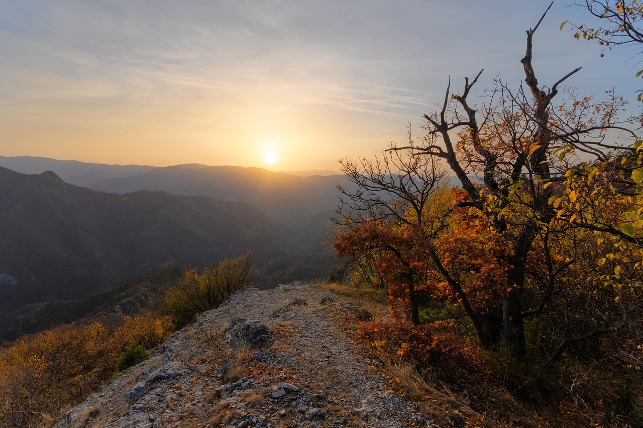Sunset - free online jigsaw puzzle photo