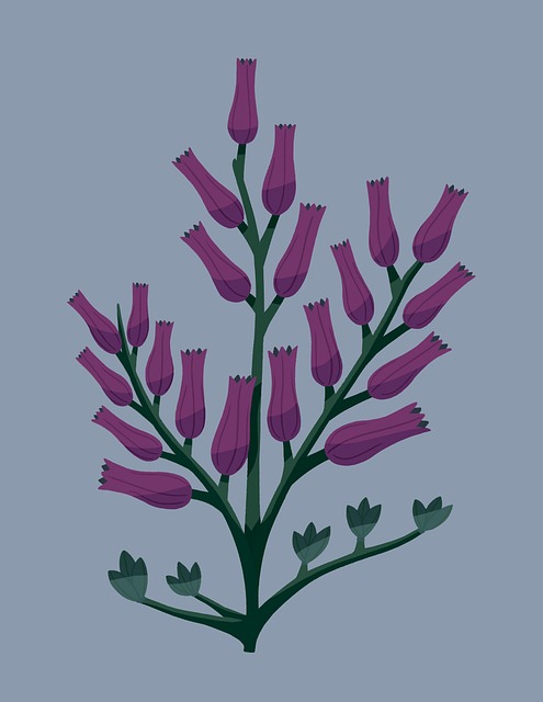 Blomster, Natur, Lilla Blomster, Vår