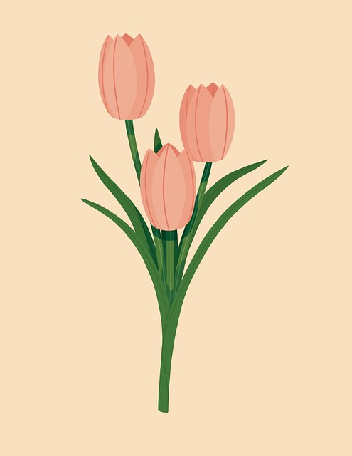 Blomster, Vakre Blomster, Blomst Tapet