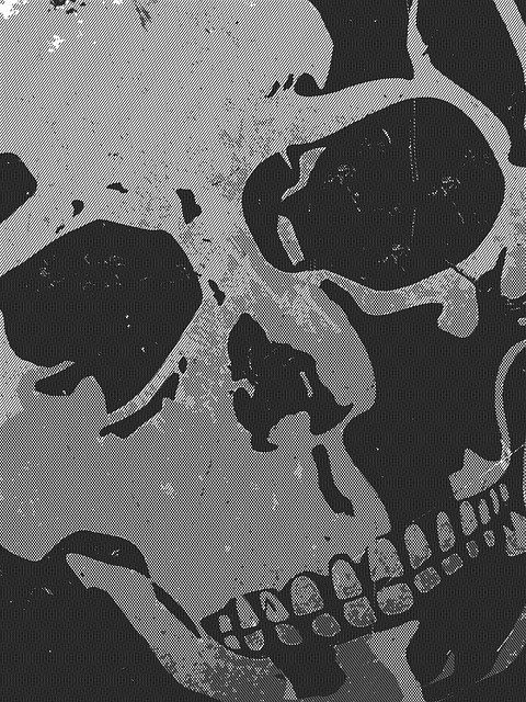 Free skull skeleton bones illustration