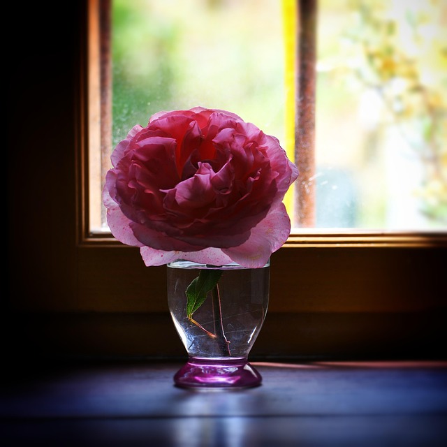 Pink Flower Vase Free photo on Pixabay