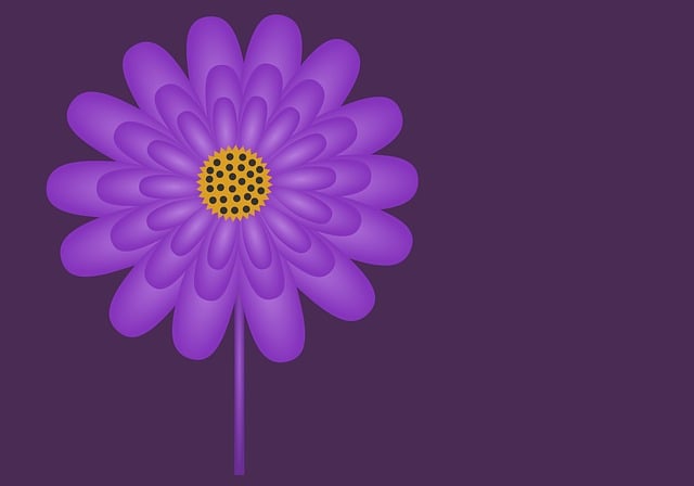 Blume, Lila, Karte, Natur, Gestaltung