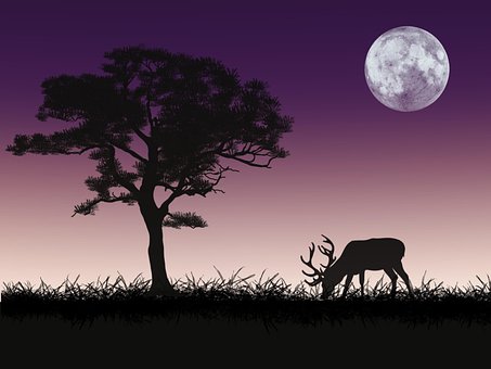 Hirsch, Silhouette, Hintergrund, Mond