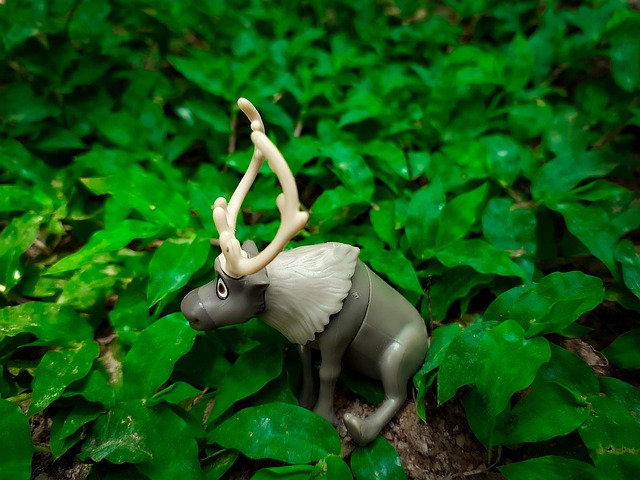 Free Bugs Model photo and picture