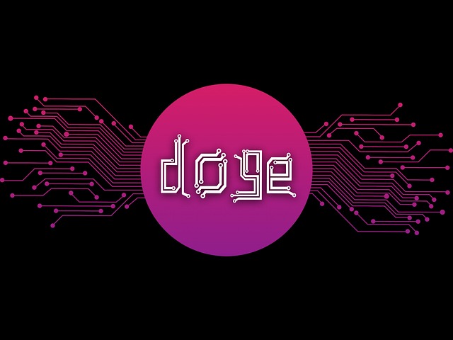 Free doge coin money illustration