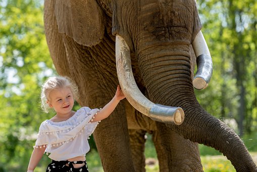 Free Elephant Girl photo and picture