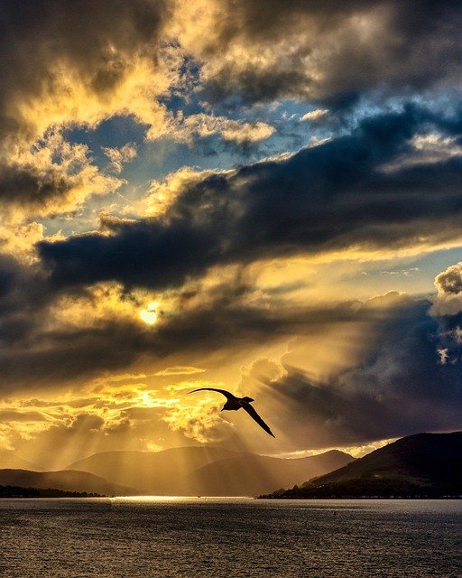 Free Sunset Sky photo and picture