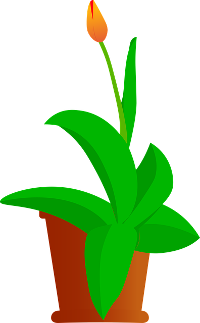 Free flower tulip cutout illustration