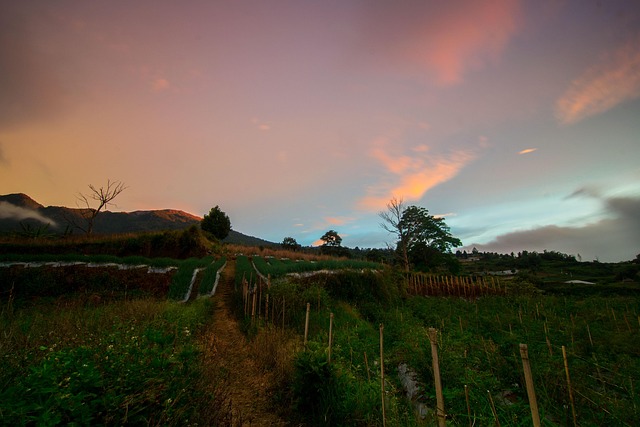 Zonsondergang, Platteland, Gebied