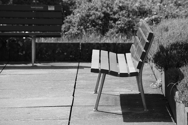 Free Bench Park photo and picture