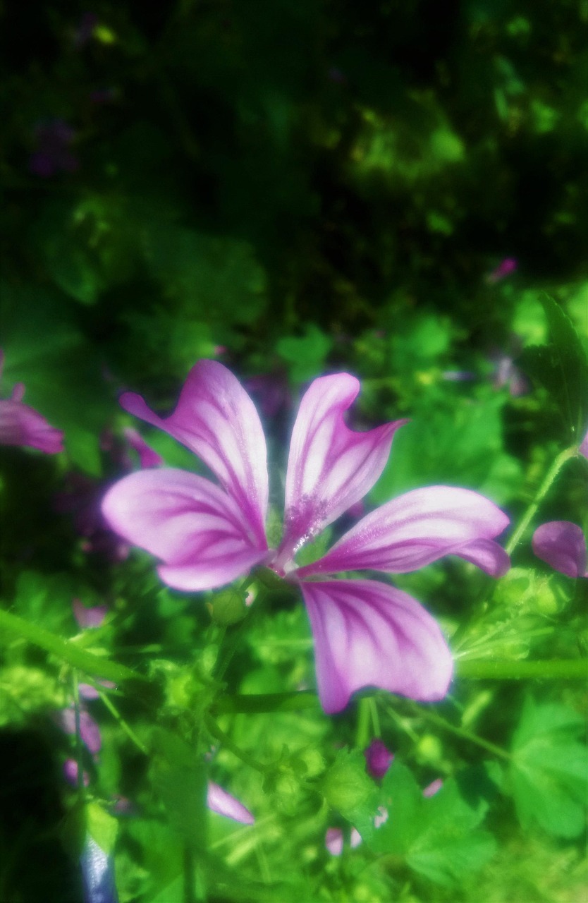 De Hobbit Notitieblok A6 Veldbloemen – Uitgeverij De Hobbit