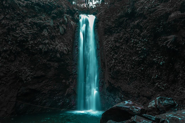 Free Waterfall Forest photo and picture