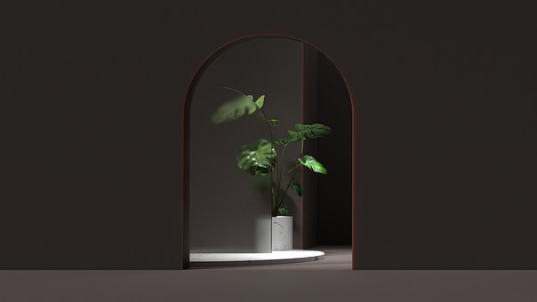 Plante, Natur, Gang, Minimalistisk