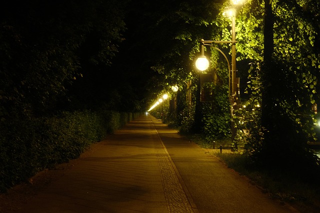 Nacht, Licht, Gehen, Straße, Landschaft