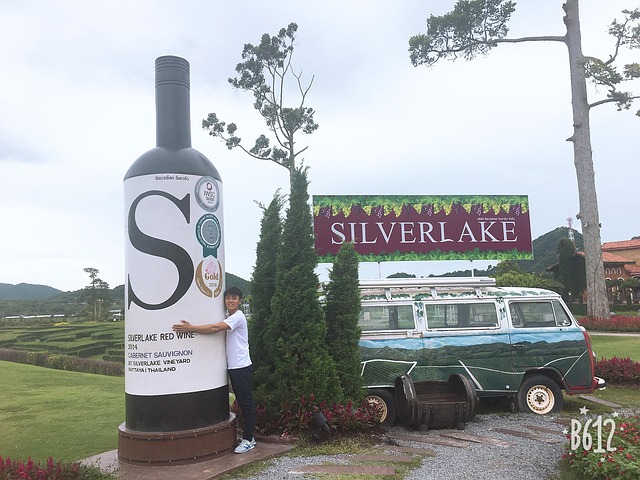 Free Silver Wine photo and picture