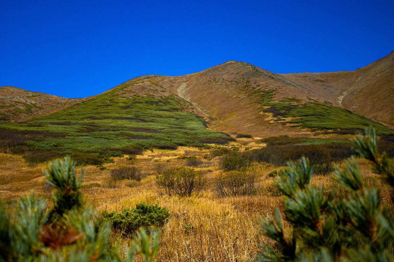 Autumn - free online jigsaw puzzle photo