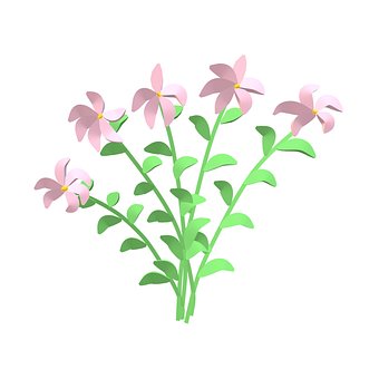 Flores, Plantas, Ramalhete