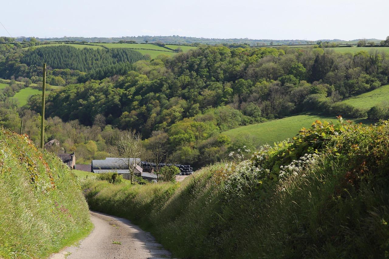 Carmarthenshire Wales Welsh Free photo on Pixabay Pixabay