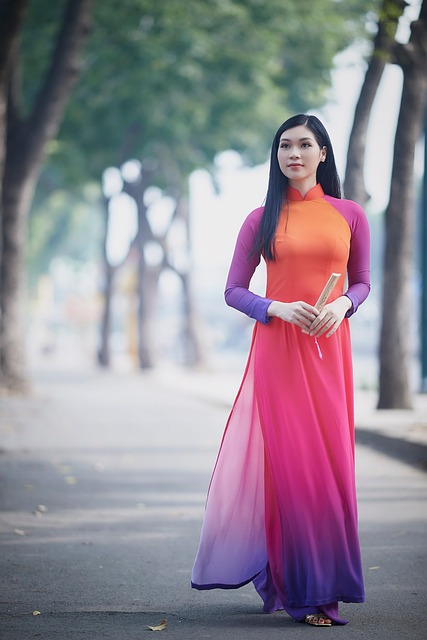 Download free HD stock image of Vietnamese Traditional New Year Free Vietnamese Traditional New Year photo and picture