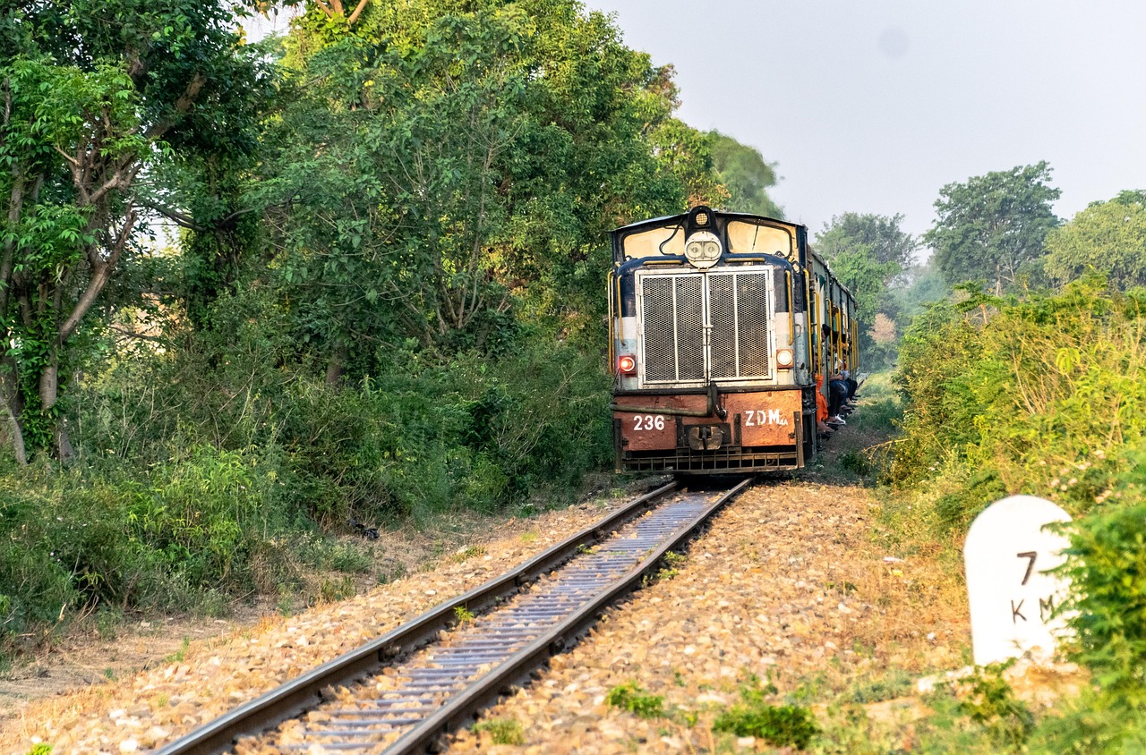 Treno Ferrovia India Foto Gratis Su Pixabay Pixabay treno-ferrovia-india-foto-gratis-su-pixabay-pixabay