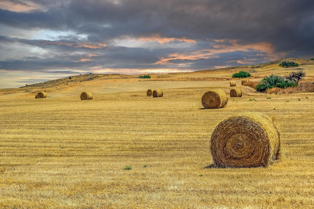 Page 2 - 40,000+ Free Hay Farming & Hay Images - Pixabay