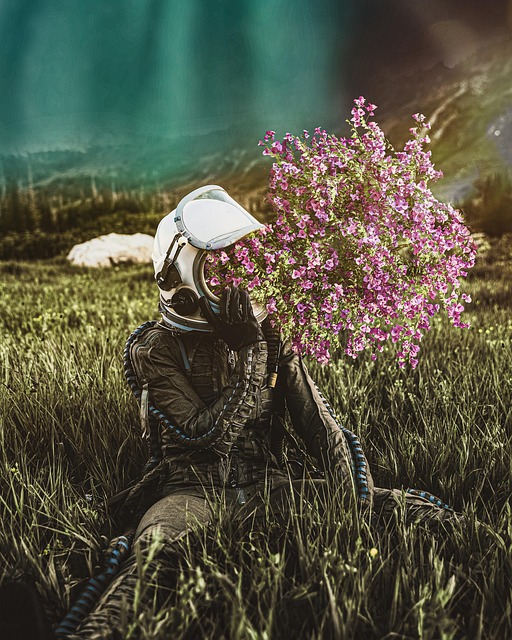 Free Flowers Field illustration and picture