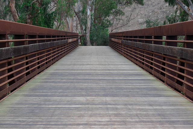 Free Bridge Path photo and picture