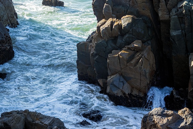 Free Ocean Beach photo and picture