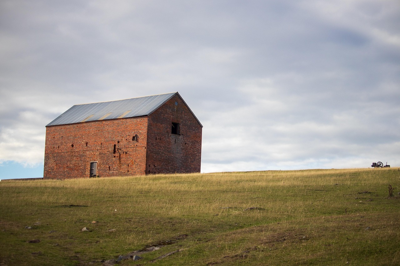 Field - free online jigsaw puzzle photo