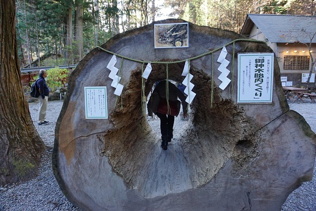 Free Japan Nikko photo and picture
