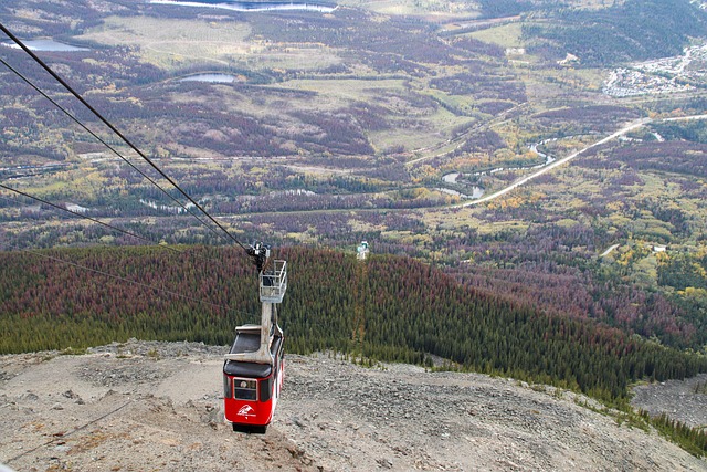 Seilbahn, Berg, Rocky Mountains, Wald