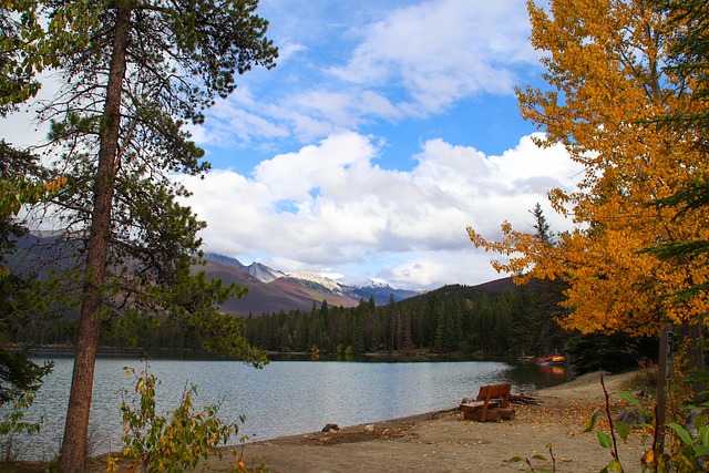 Kanada, See, Herbst, Blätter, Gelb, Blau