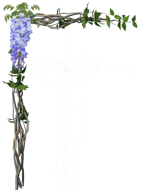Download free HD stock image of Frame Nature Free frame nature wisteria illustration