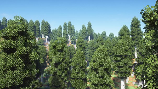 Minecraft, Les, Bříza, Březový Les, Hory