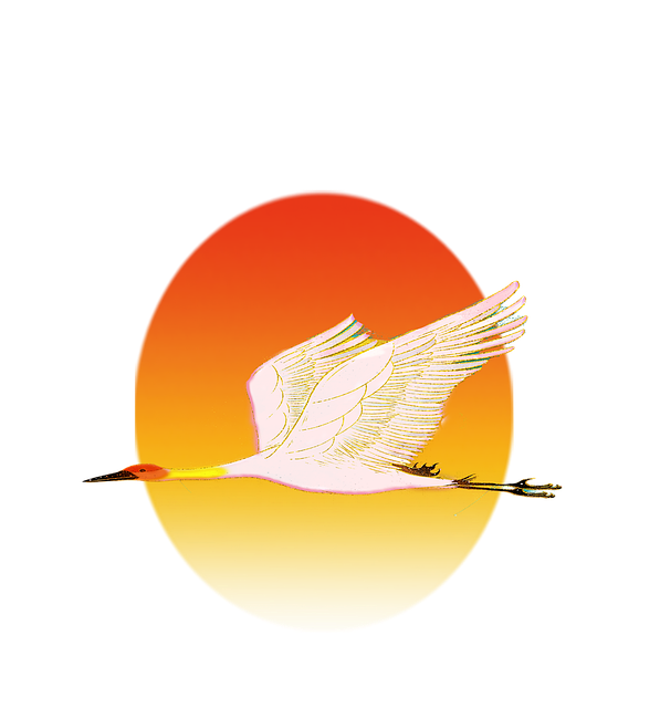 Free swan bird sun illustration
