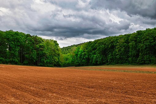 Feld, Wald, Landwirtschaft, Landschaft