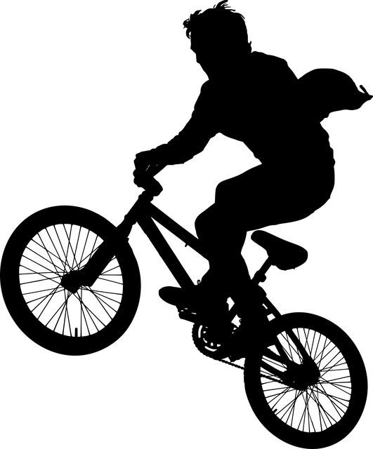 Free bicycle bike silhouette vector