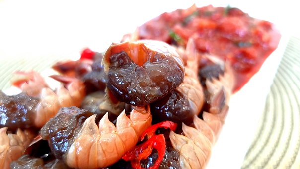 Free Shrimp Paste Black Shrimp photo and picture